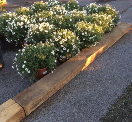 Traverse brute en Chêne traitées marron 130x220x2600 (unité)