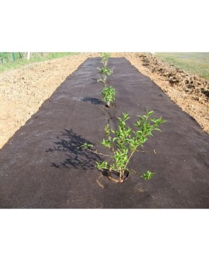 Toile de paillage non tissée larg.2m / 125grs  prix au m²