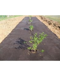 Toile de paillage non tissée larg.2m / 125grs  prix au m²