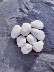 Galet Marbre blanc de carrare 40/60 - 350KG
