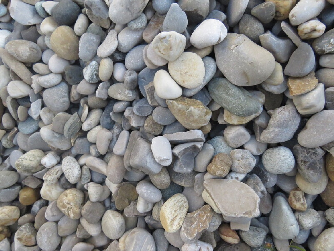 Galet de rivière 20/50 - 500KG